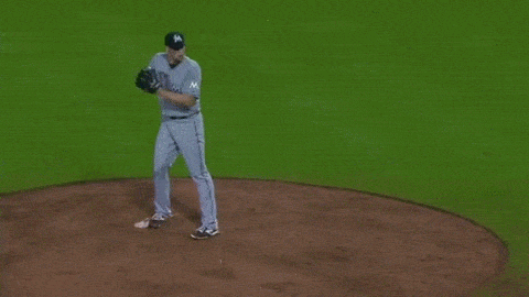 파일:카터캡스투구폼.gif